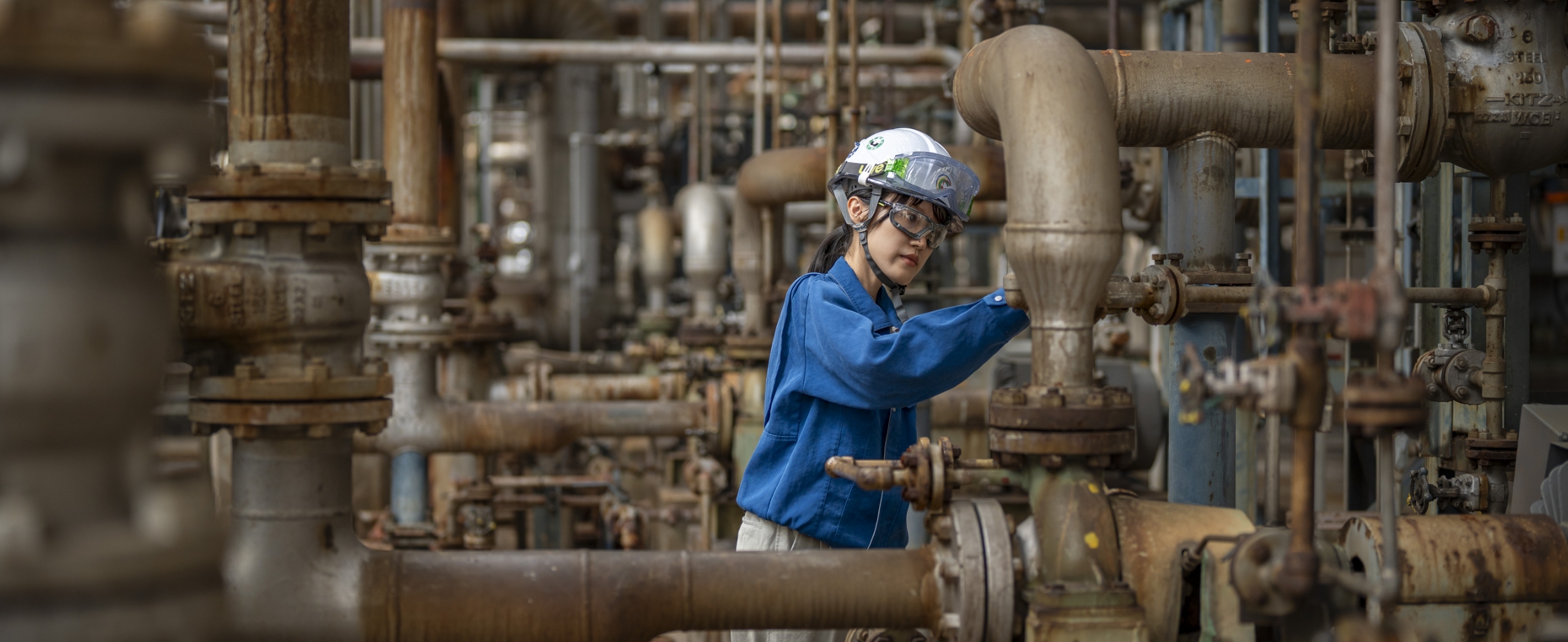 毎日新しい発見と学びがある。